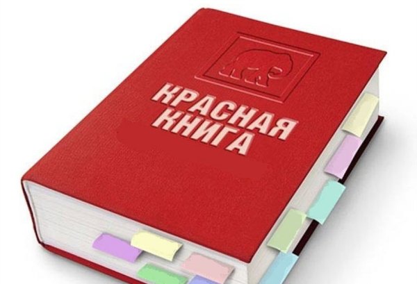 Красная книга для детей