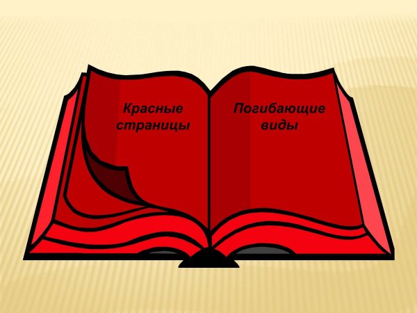 Символ красной книги