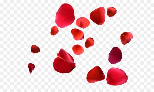 Красный лепесток