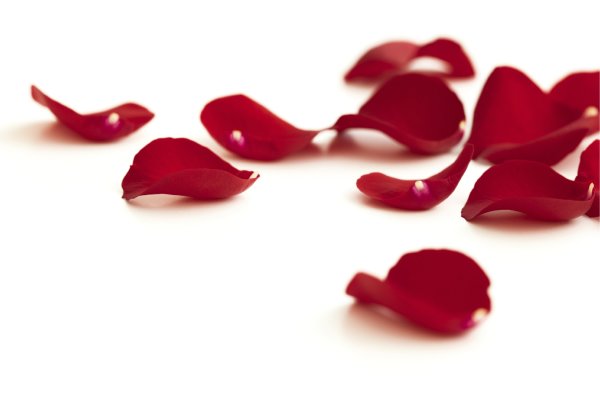 Красный лепесток