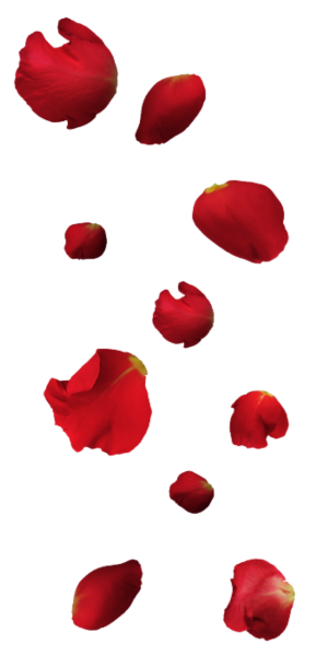 Падающие лепестки роз