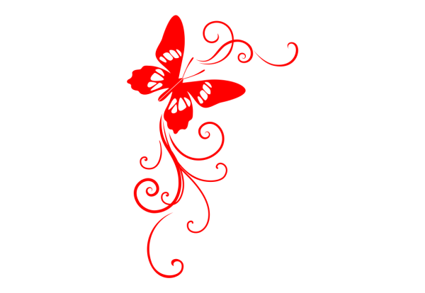 Узоры бабочки