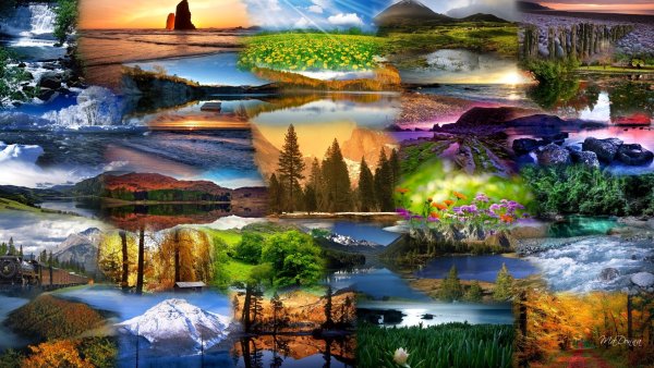 Коллаж удивительная природа земли