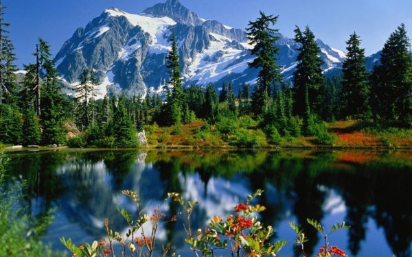 Мир природы