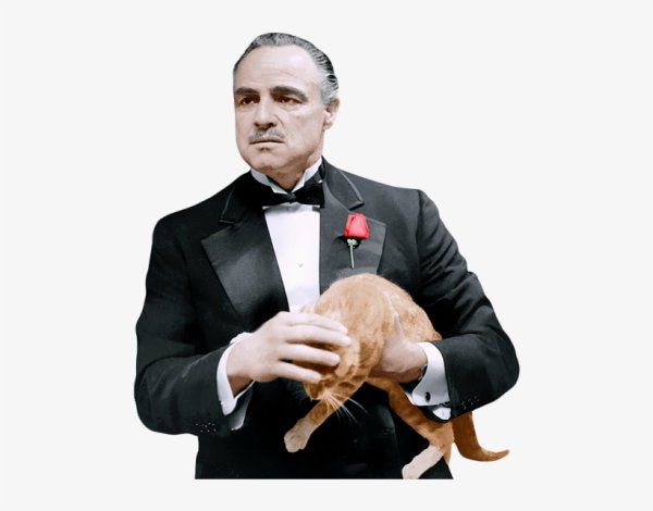 Вито Корлеоне белый фон