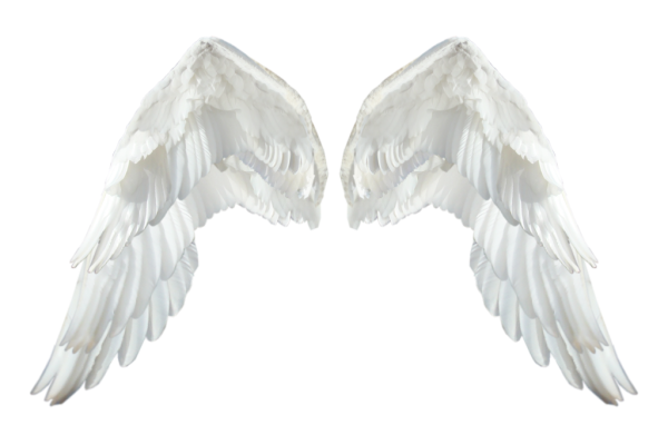 Крылья ангела