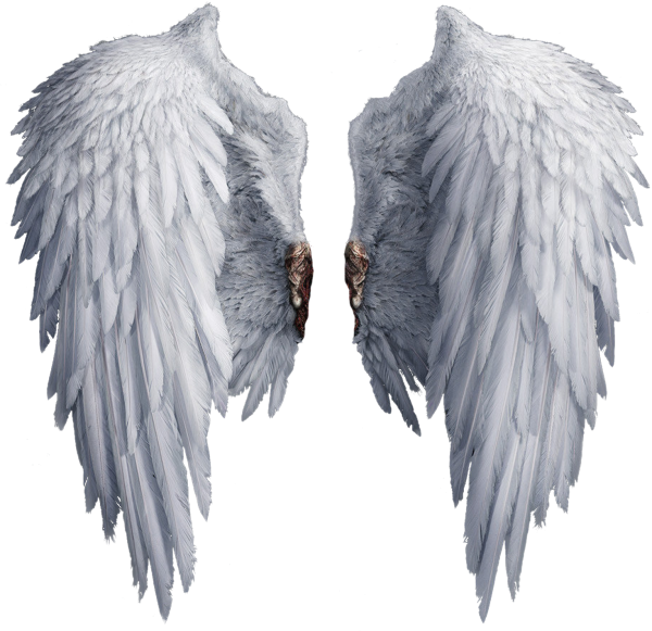 Крылья ангела текстура