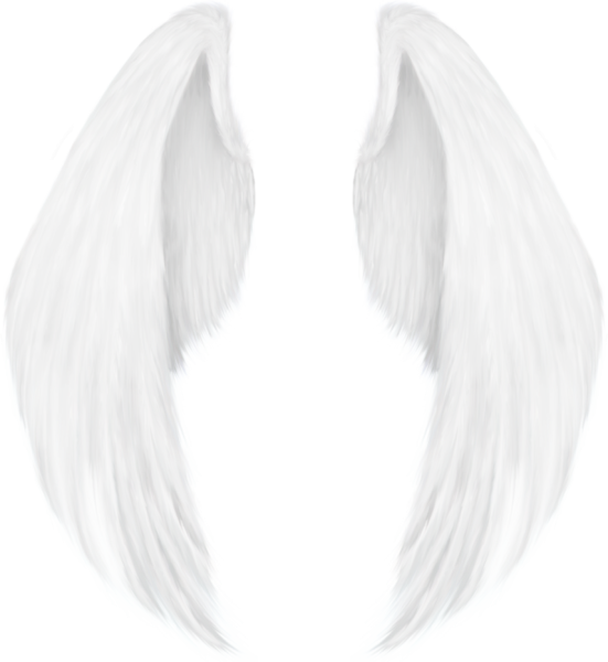 Крылья ангела