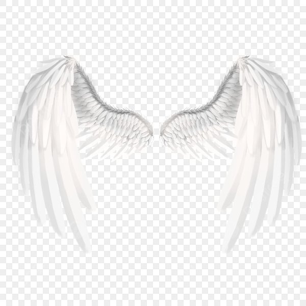 Крылья ангела на белом фоне
