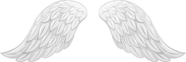 Крылья ангела на белом фоне
