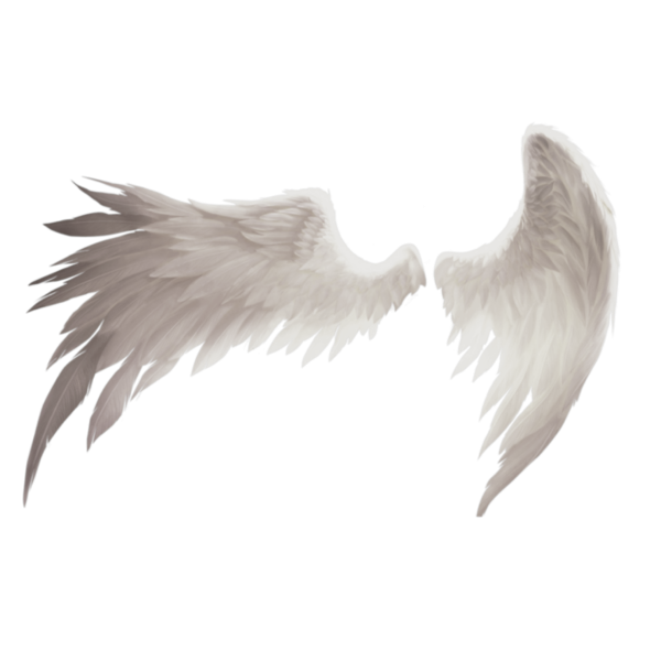 Крылья ангела гача