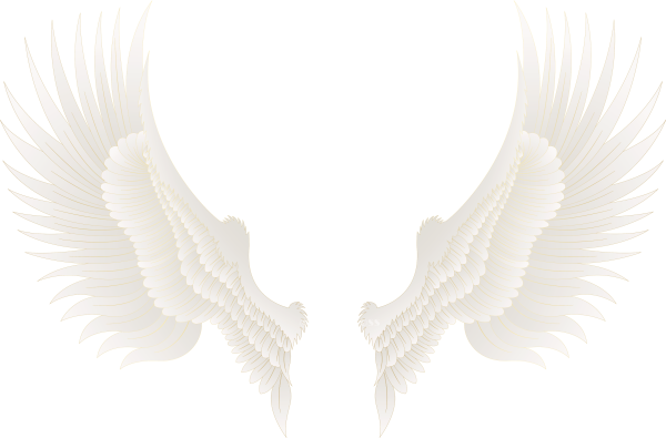 Белые Крылья без фона