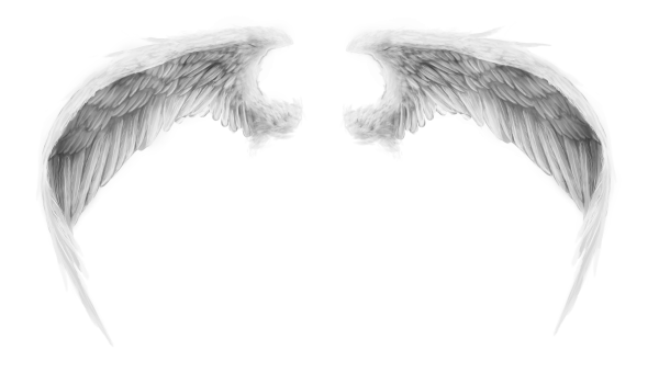 Крылья на прозрачном фоне