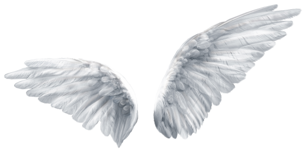 Крылья ангела для фотошопа