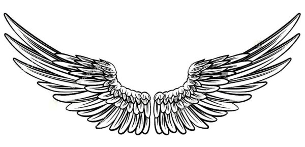 Эскиз Орел с крыльями