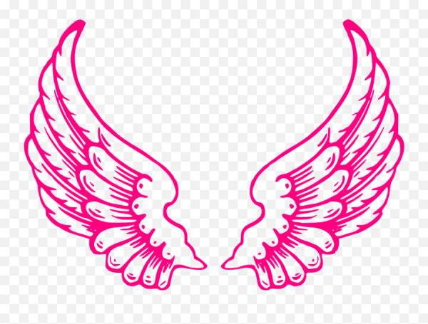 Маленькие крылышки ангела