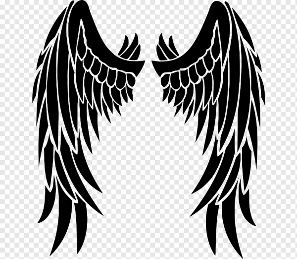 Крылья силуэт