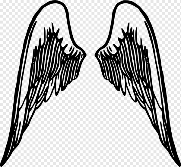 Ангельские Крылья рисунок
