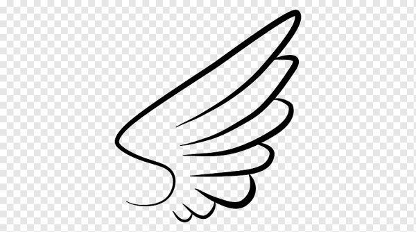 Крылья очертания