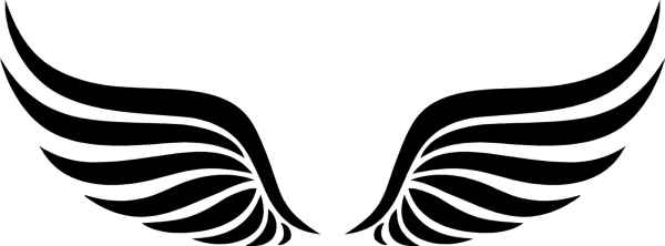 Крылья вектор