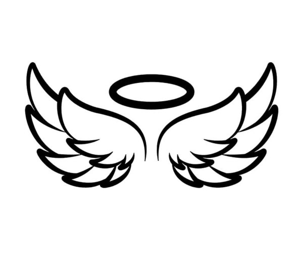 Крылья контур