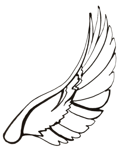 Крылья рисунок карандашом