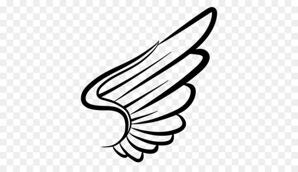 Крылья контур