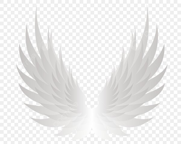 РАСПРАВЛЕННЫЕ Крылья ангела