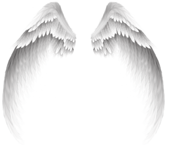 Крылья ангела