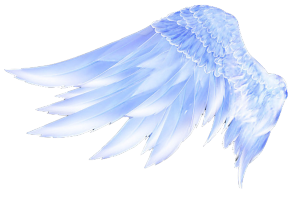Крылья на прозрачном фоне