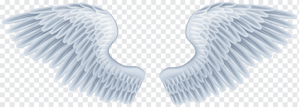 Белые Крылья