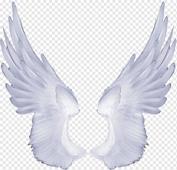 Крылья ангела