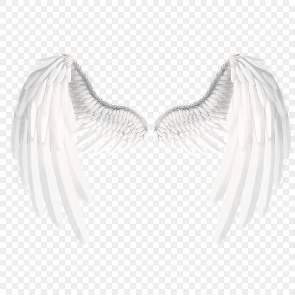 Крылья ангела на белом фоне
