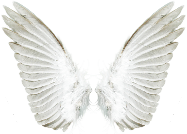 Крылья ангела