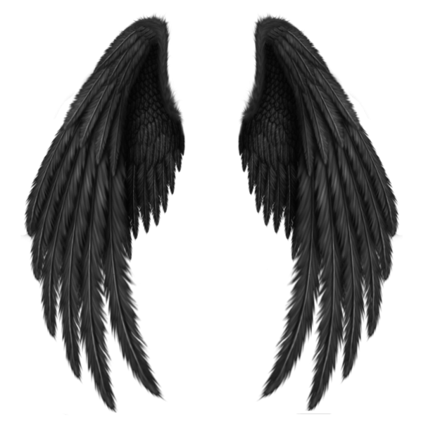 Друзей крыльев без что. Крылья демона. Черные Крылья. Дьявольские Крылья. Крылья ангела черные.