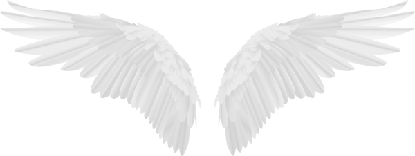 Белые Крылья