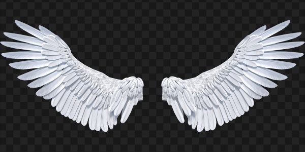 РАСПРАВЛЕННЫЕ Крылья ангела