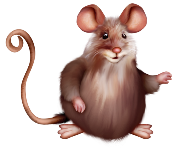Мышка на прозрачном фоне для фотошопа