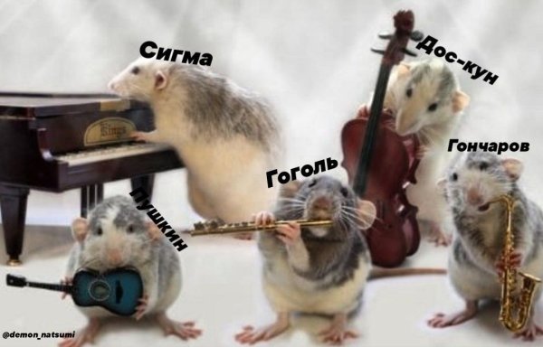 Крысы мёртвого дома Пушкин