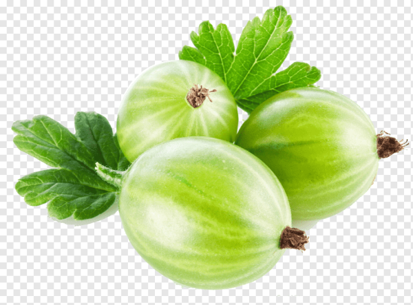 Крыжовник без фона