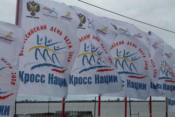 Рисунки кросса нации красивые