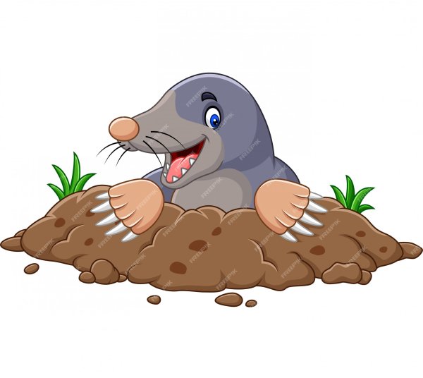 Картинка Крот на прозрачном фоне