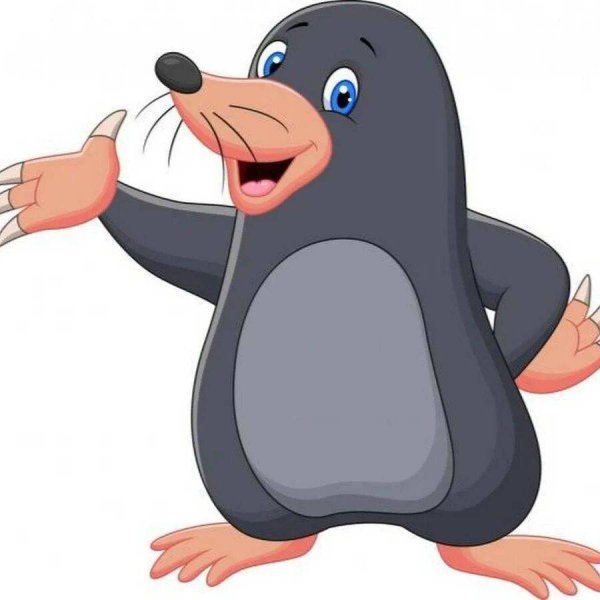 Крот рисунок