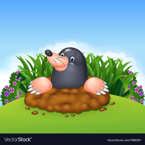 Изображение крота для детей