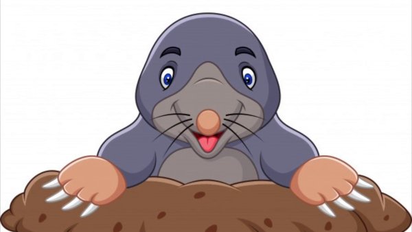 Маска крота на голову