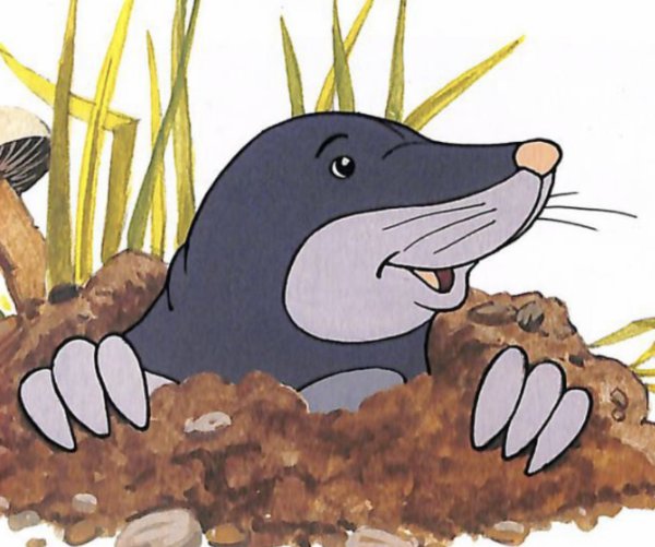 Крот рисунок для детей