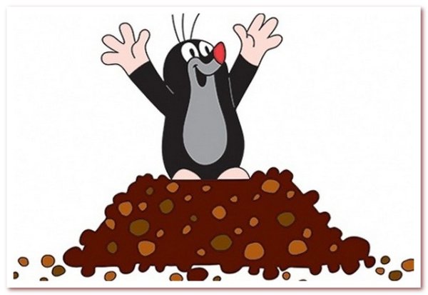 Крот для детей