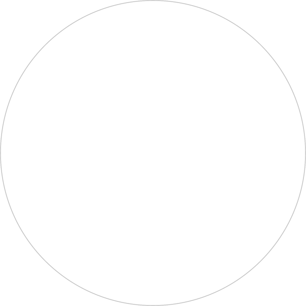 Rw01 60х60 белый неполир.