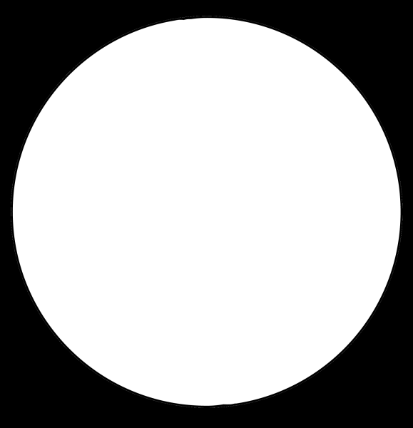 В круге белом