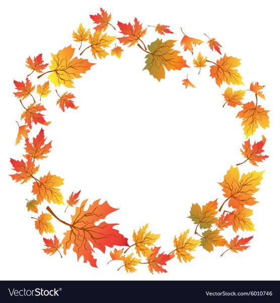 Осенние листья по кругу вектор